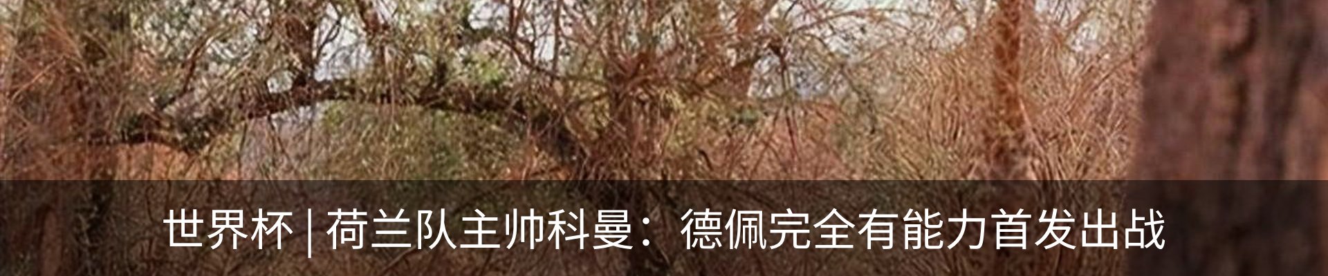 新闻动态