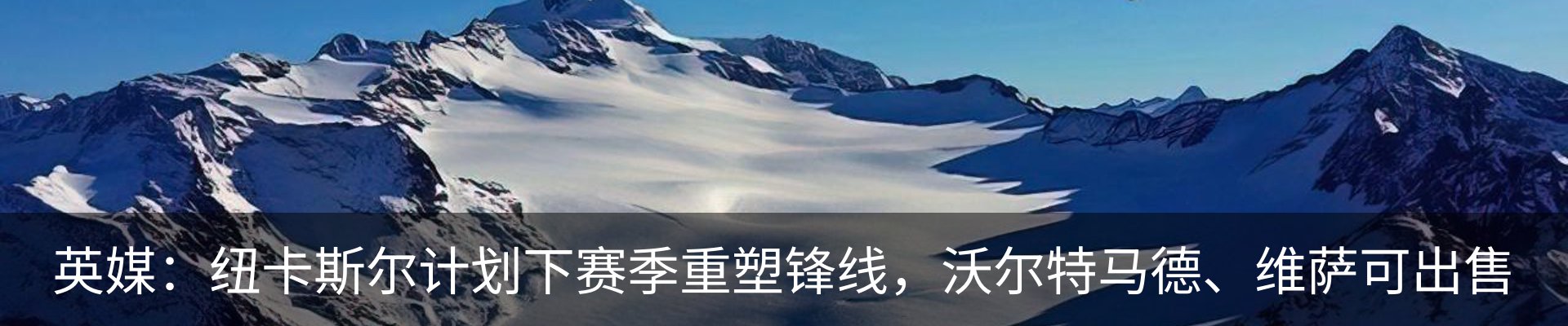 新闻动态
