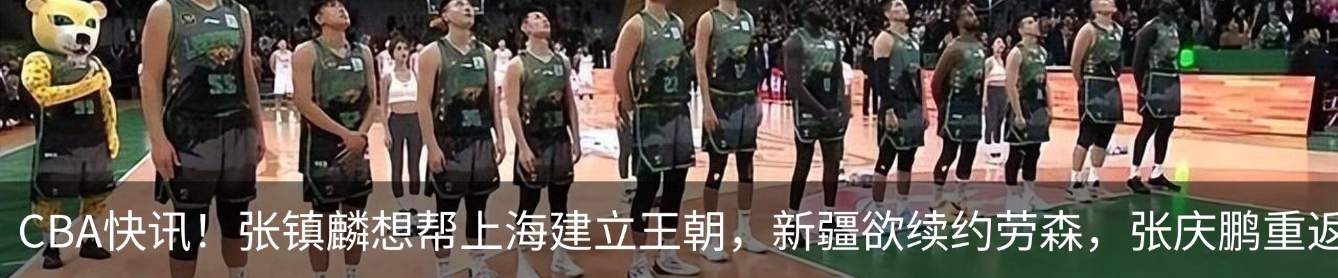 新闻动态